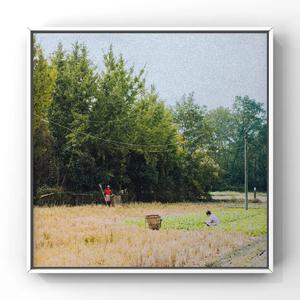 色欲av不卡中文字幕
