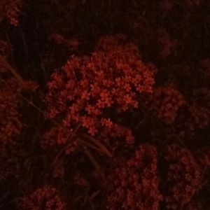 双飞两个初中生
